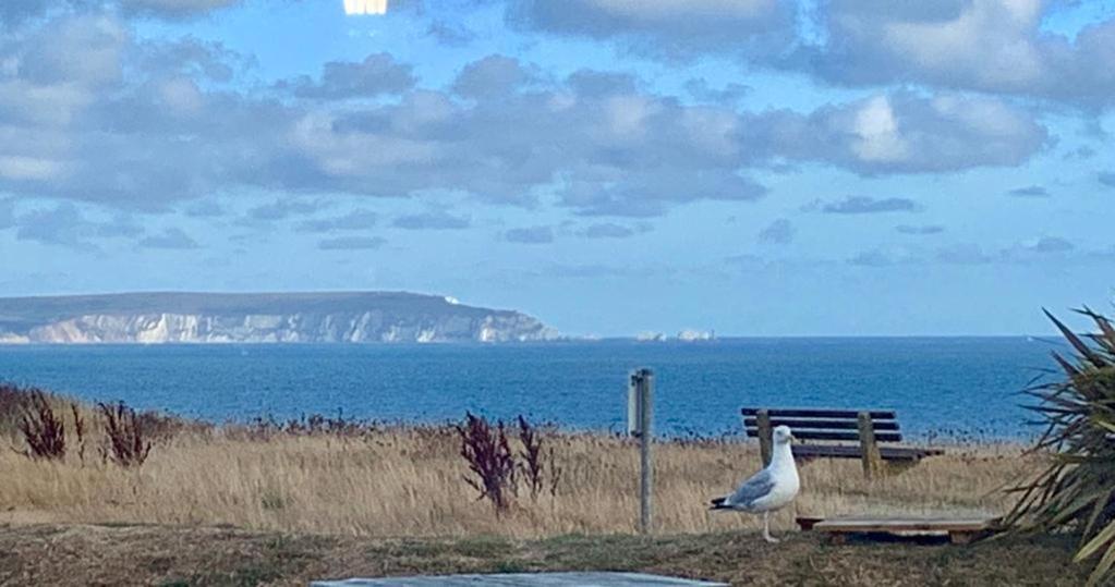 Shorefield Country Park, Where The New Forest Meets The Sea, Passes For All Entertainment Included Milford on Sea Exterior foto