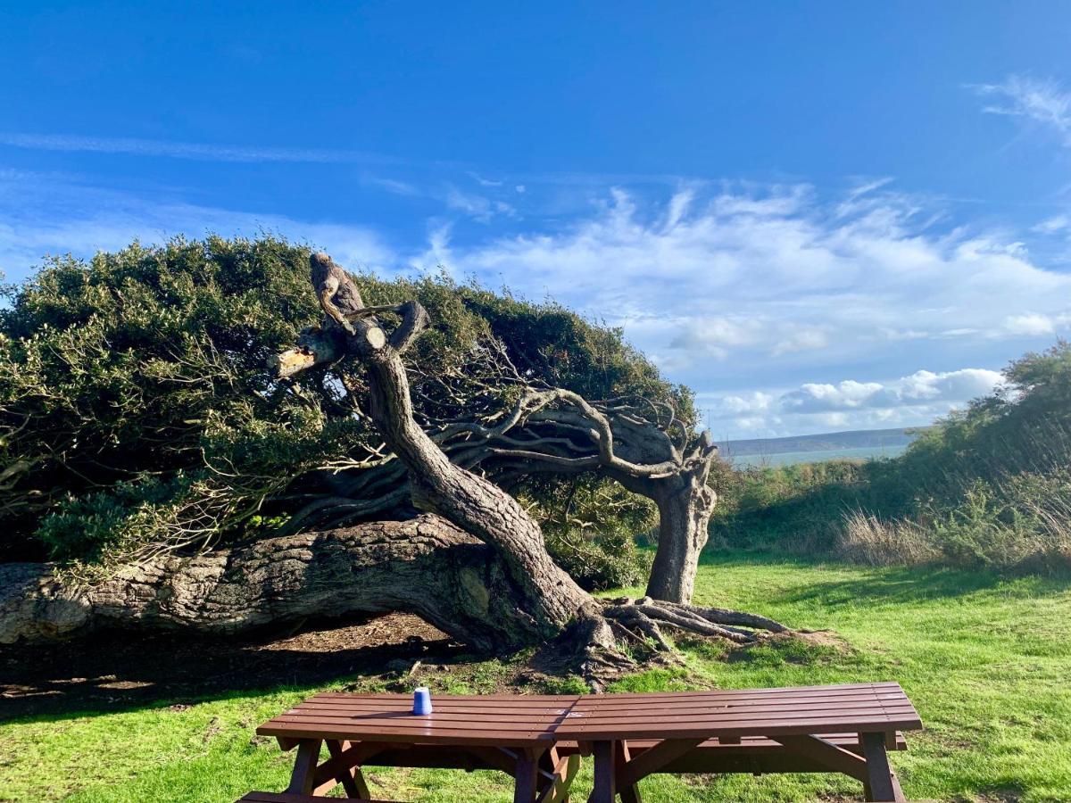 Shorefield Country Park, Where The New Forest Meets The Sea, Passes For All Entertainment Included Milford on Sea Exterior foto